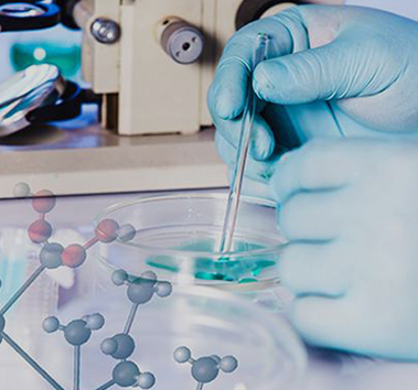 API & D??c Ph?m Trung Gian