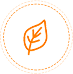 H??ng Th?m T??i Mát